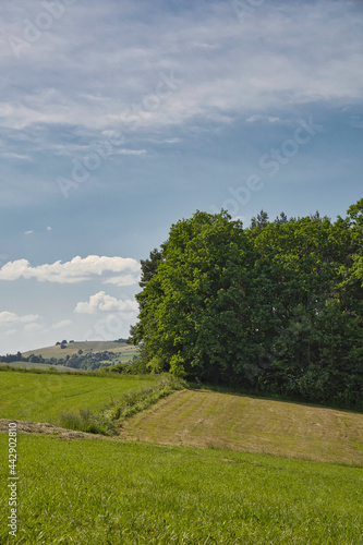 Meadow and sky landscape, sunny day, sunny landscape, spring landscape, summer landscape