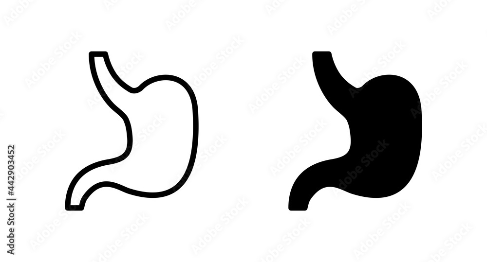 stomach icon vector for web, computer and mobile app stomach icon vector for web, computer and mobile app