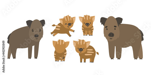 Cute forest boar and piglets family. Vector cartoon isolated hand drawn set of animals, illustration on white background