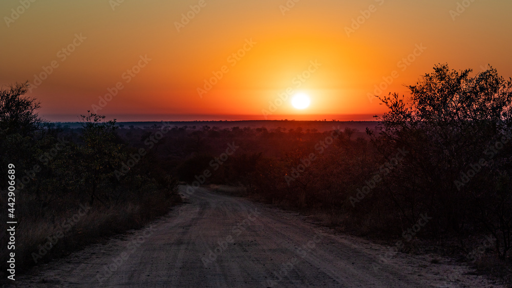 Obraz premium sunrise in Kruger national park - Africa