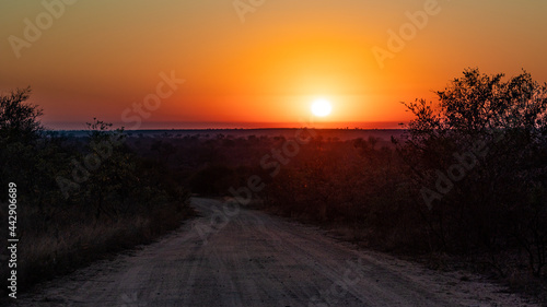 sunrise in Kruger national park - Africa