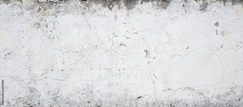 Fototapeta premium Old grungy grey concrete wall as a texture.