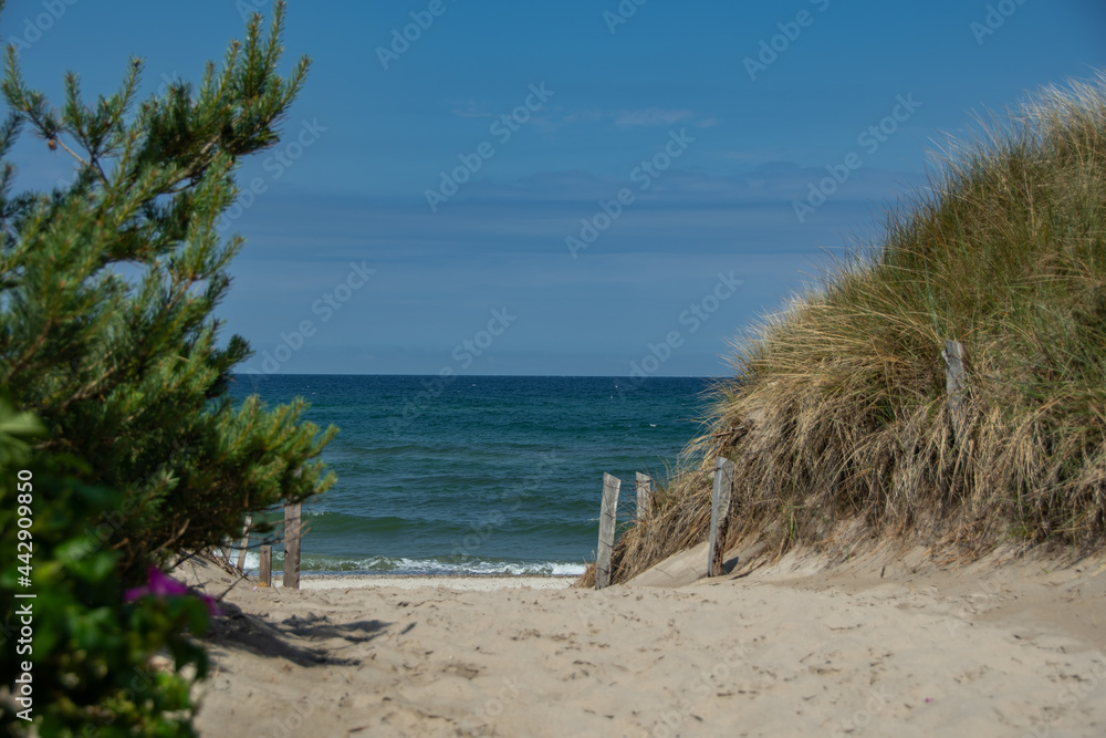 Beach access through the dunes to the Baltic Sea