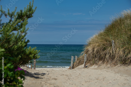 Beach access through the dunes to the Baltic Sea