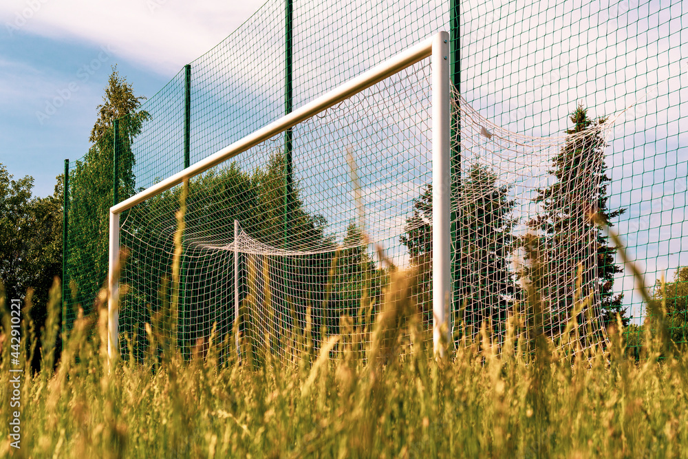 Uncut grass on the on the football stadium with empty goals Uncut grass on the on the football stadium with empty goals