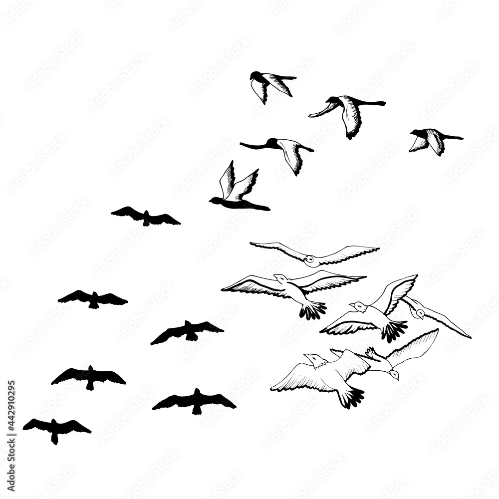 Naklejka premium birds, vector, t-shirt design, hand drawing, unique, vintage, grunge, apparel, trendy, print