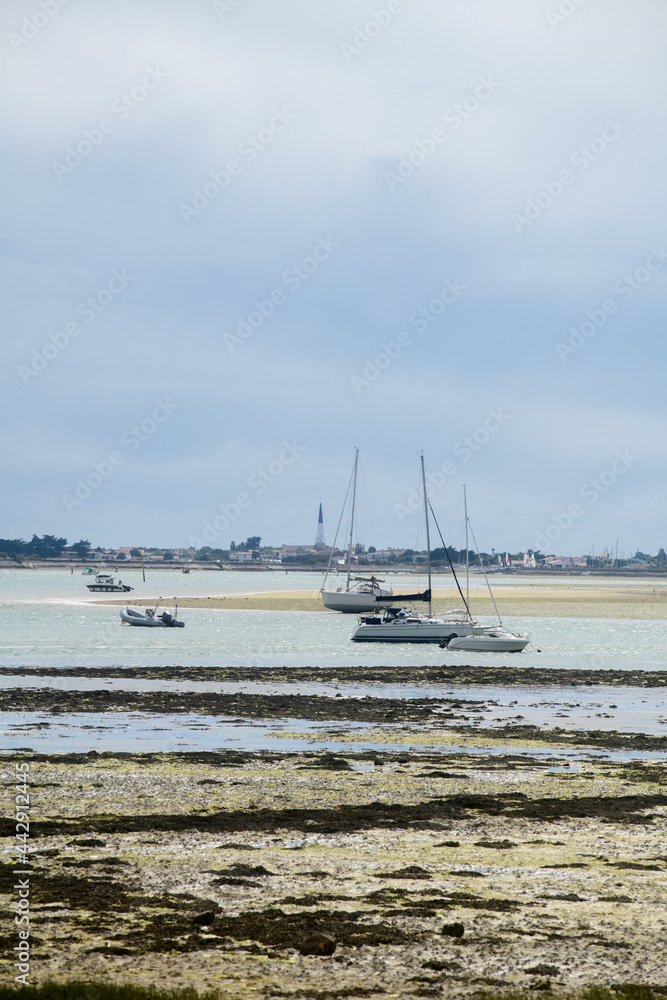 view from the beach of la patache on pleasure boats at lowtide with Ars-en-Ré in the background view from the beach of la patache on pleasure boats at lowtide with Ars-en-Ré in the background