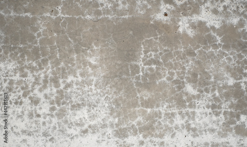 Wallpaper Mural Old grungy grey concrete wall as a texture. Torontodigital.ca