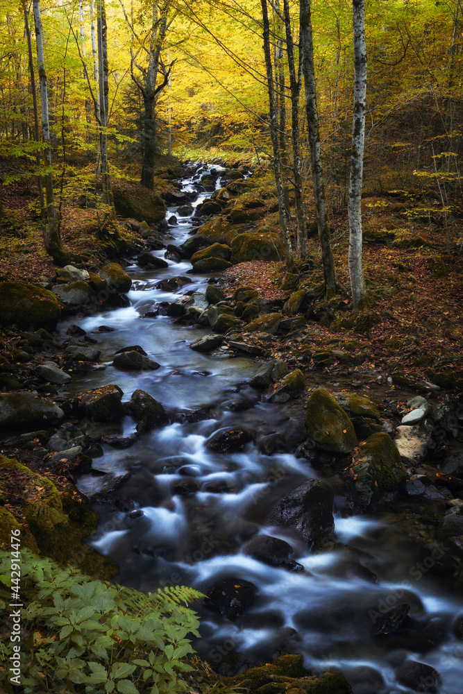 Autumn landscape, river going through mountain forest.