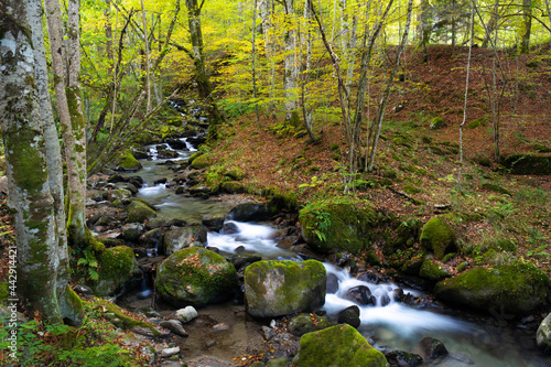 Autumn landscape  river goes through mountain forest.