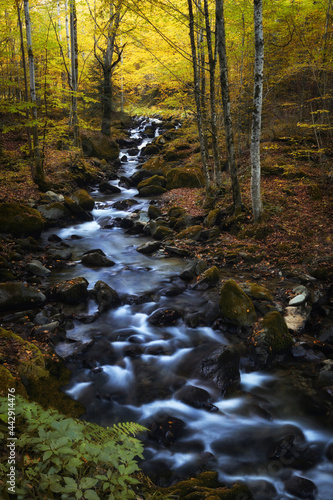 Autumn landscape, river going through mountain forest.