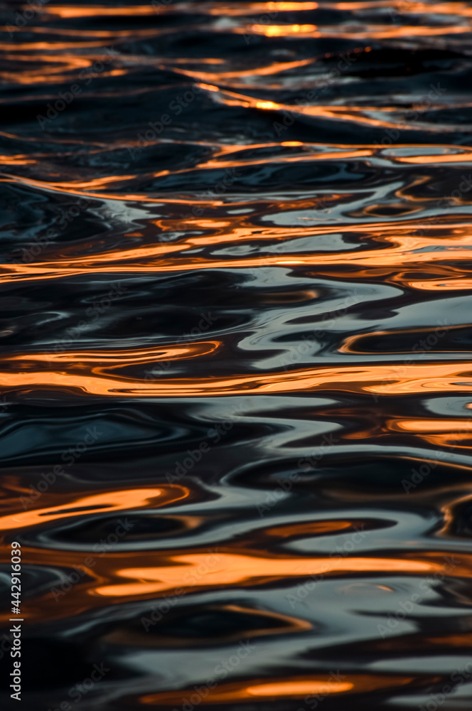 water surface water surface