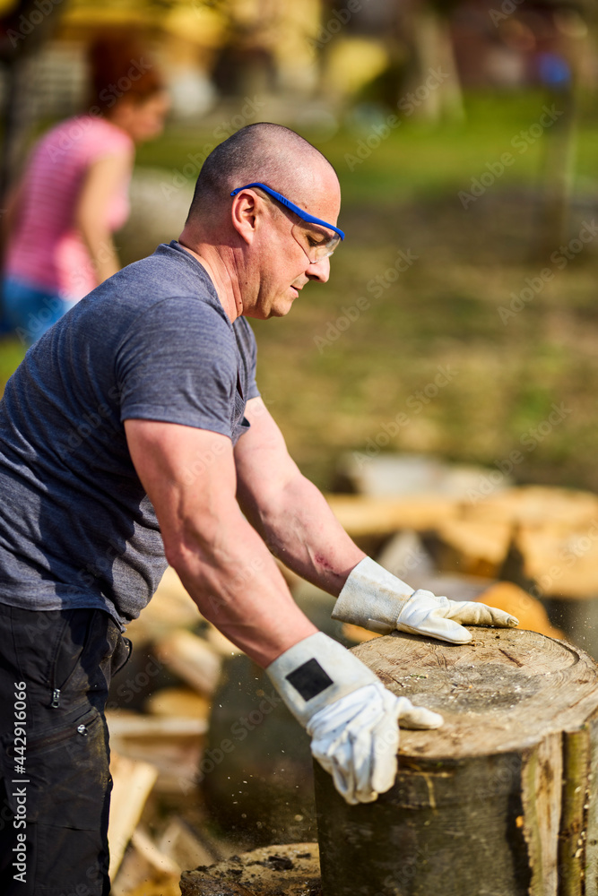 Strong man moving big cut beech logs Strong man moving big cut beech logs