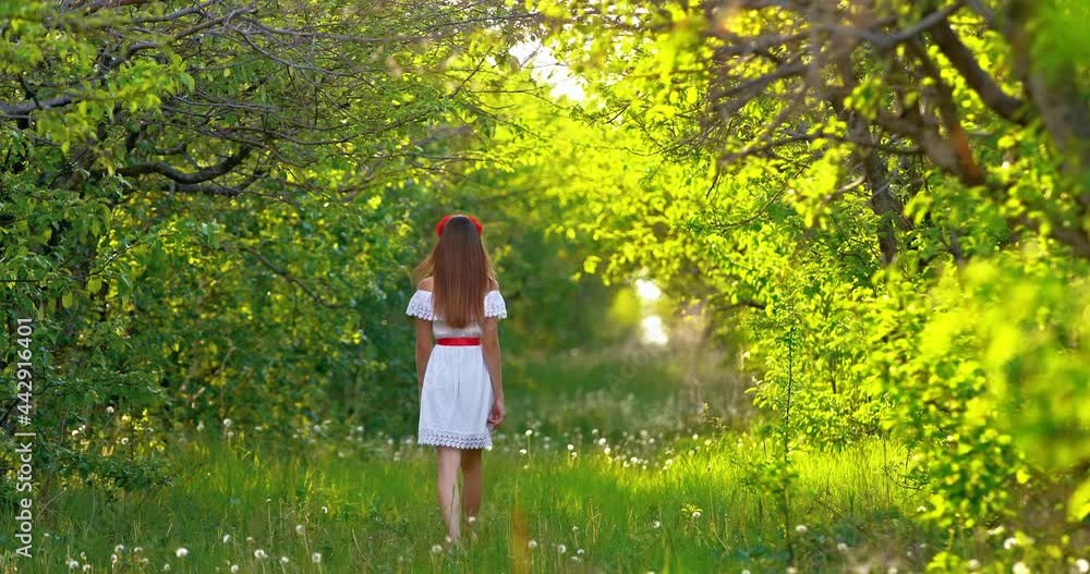 Beautiful woman in a white dress and with long hair walks along a forest path, a romantic walk. Forest glade with dandelions, the sun's rays illuminate the foliage of the trees, a walk on a sunny day Beautiful woman in a white dress and with long hair walks along a forest path, a romantic walk. Forest glade with dandelions, the sun's rays illuminate the foliage of the trees, a walk on a sunny day