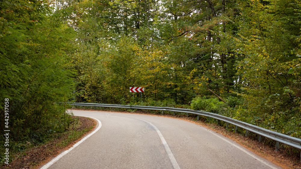 Fototapeta premium Old asphalt road in autumn forest