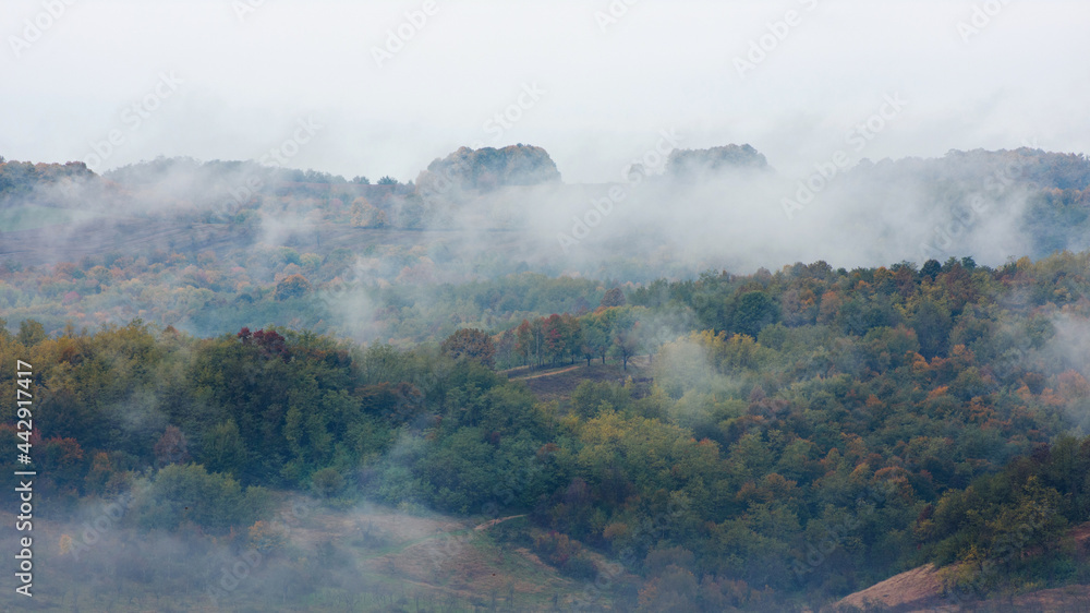 Fog and clouds rising from an autumn forest