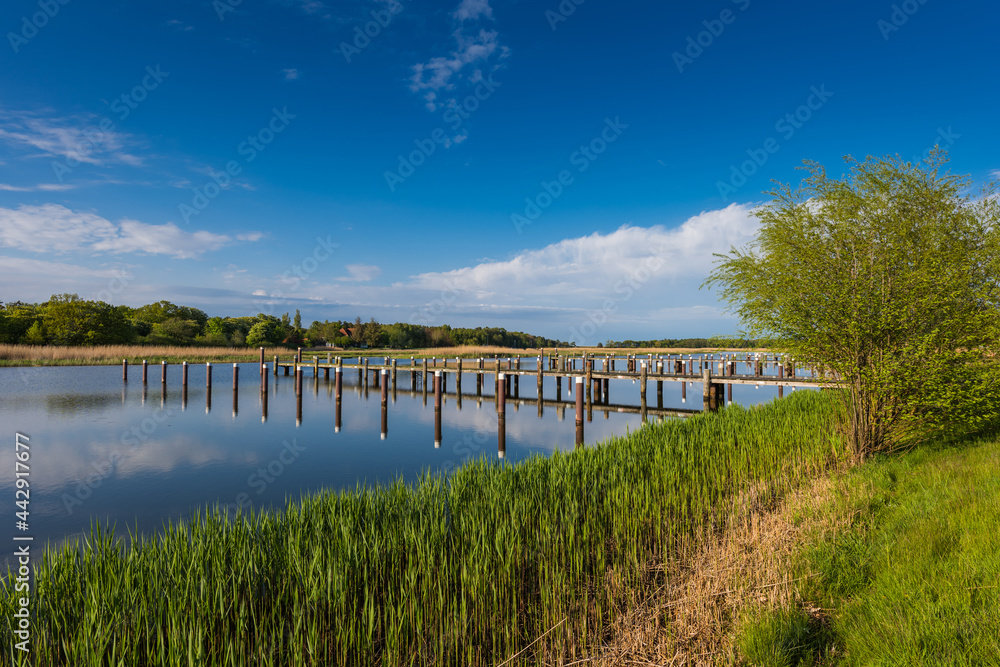 Naklejka premium Jetty in the port of Prerow, Mecklenburg-Western Pomerania (Mecklenburg-Vorpommern), Germany 