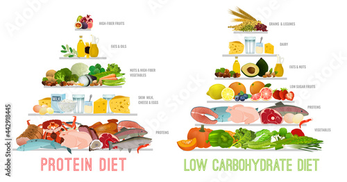 Protein Low Carb Diet. Isolated vector illustration