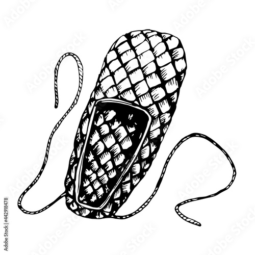 A vector image. Bast shoes, peasant shoes. A hand-drawn drawing.