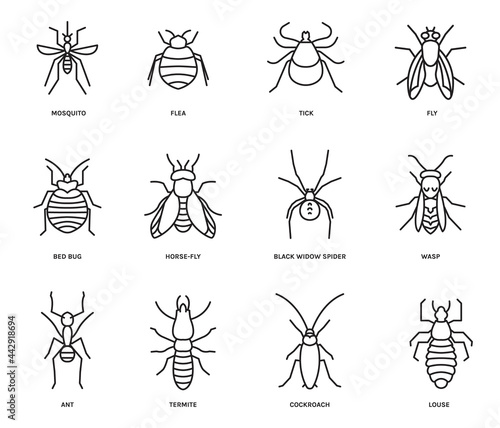 Insects icons set. Isolated editable vector illustration