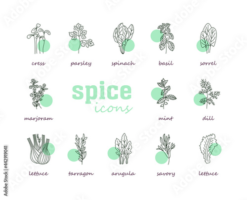 Greenery vector icon set. Vegetable green leaves
