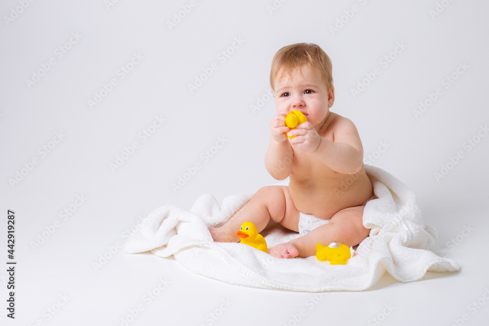 baby boy in a diaper sitting on a white background with a towel and rubber ducks, bathing concept baby boy in a diaper sitting on a white background with a towel and rubber ducks, bathing concept