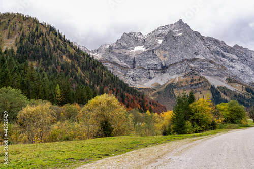 maple trees at Ahornboden, Karwendel mountains, Tyrol, Austria