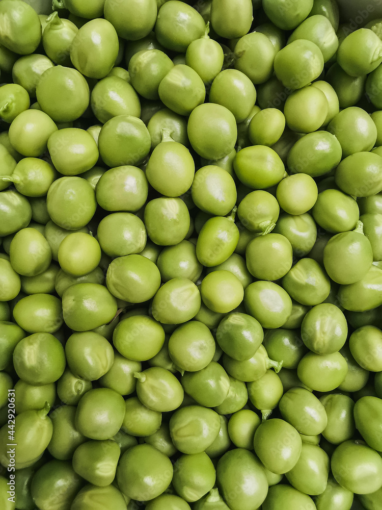 Top view of the hands holding green peas. Texture. Filled frame Top view of the hands holding green peas. Texture. Filled frame