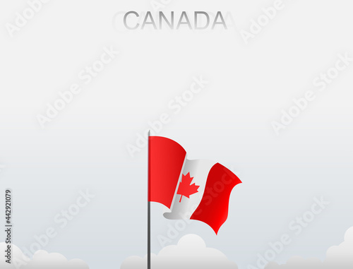 Canadian flag flutters on a pole standing tall under a white sky