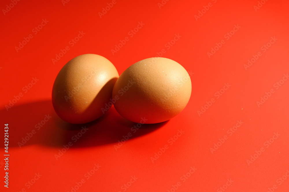 Chicken egg on red background