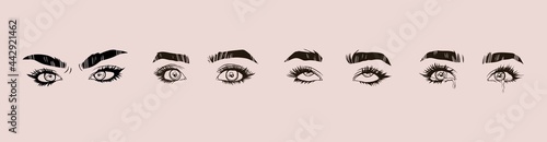Set of Beautiful female Eyes with long Eyelashes and Brows. Close up emotional fashion look. Hand drawn Vector illustration. Brow bar, beauty salon concept. Logo, poster or print template