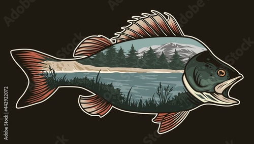 Photography National park landscape vintage concept