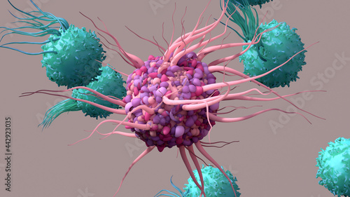Dendritic Cell activate T cells, trigger immune responses, they are responsible of cells protection of the body. photo