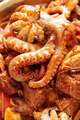 Spicy stir-fried octopus, Korean food 