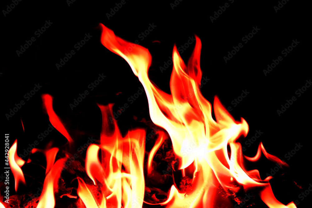 flames on a black background. flames on a black background.