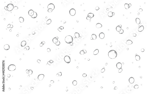 Oxygen air bubbles flow in water on white background.