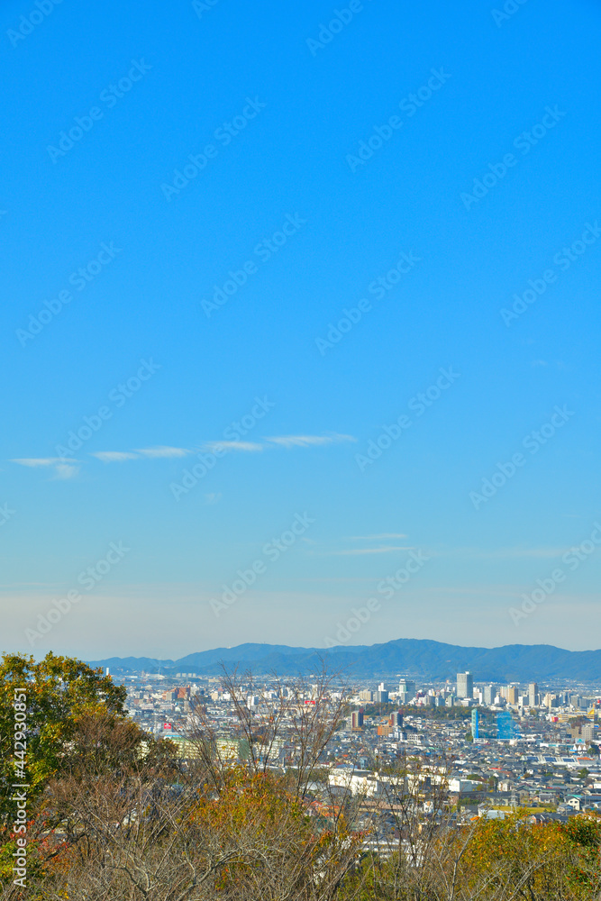Fototapeta premium 愛知県豊橋市の街並み
