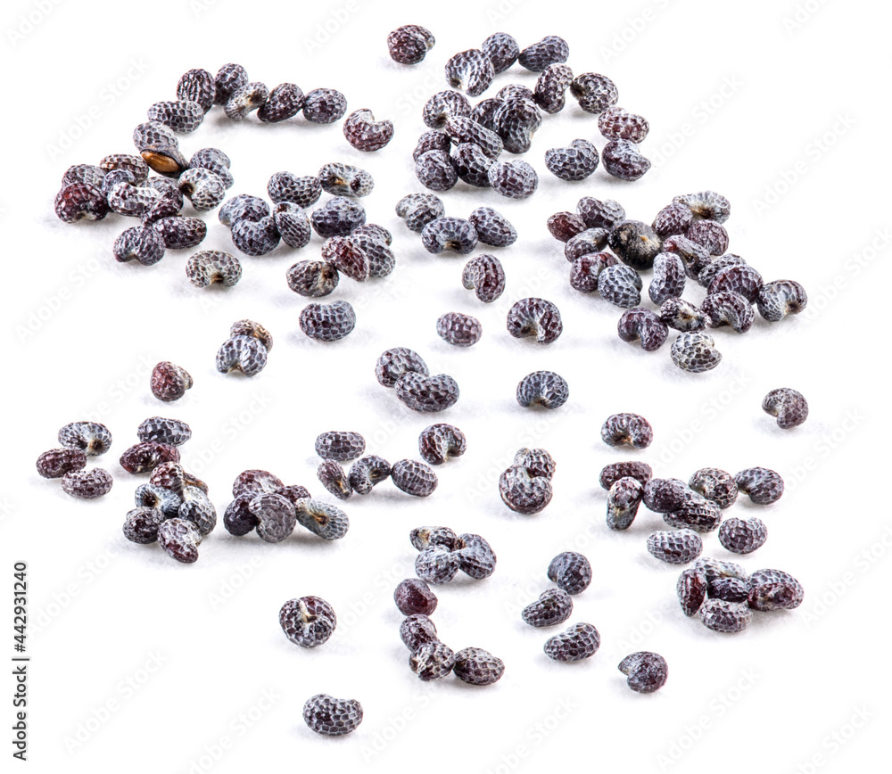Poppy seed isolated on white, Extreme closeup Poppy seed isolated on white, Extreme closeup
