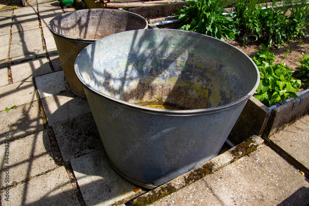 Round metal trough for water in a abandoned greenery Round metal trough for water in a abandoned greenery