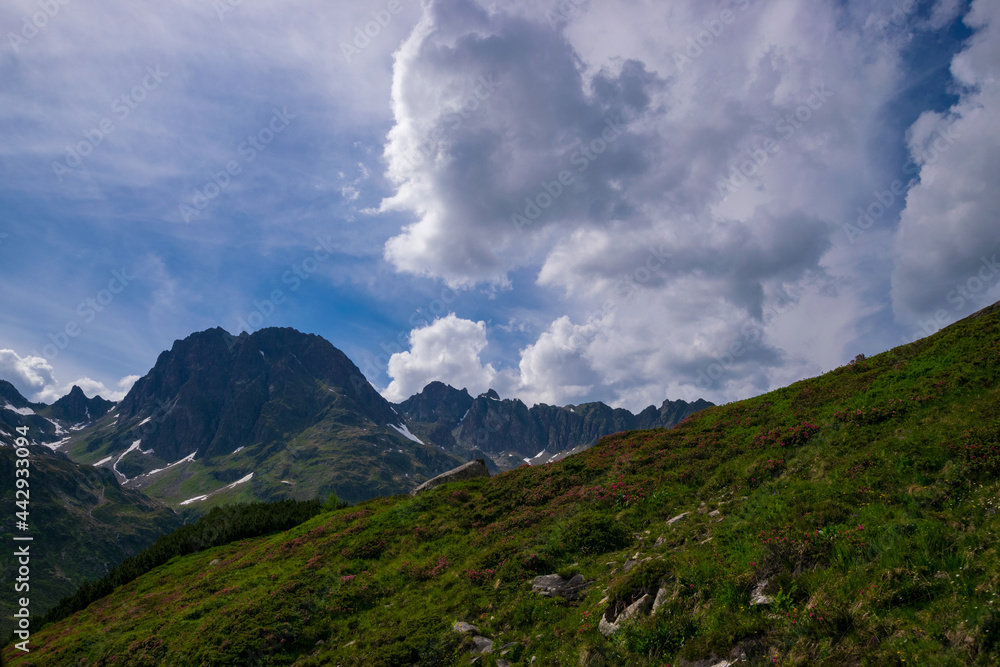 alpin scenery next to the Silvretta-Hochalpenstraße alpin scenery next to the Silvretta-Hochalpenstraße