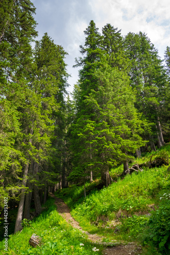 alpin scenery near Ischgl 