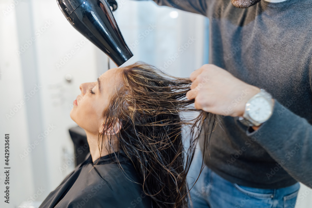 Concentrated master drying hair of female customer in salon Concentrated master drying hair of female customer in salon
