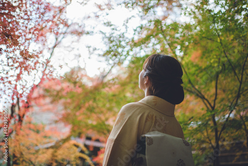 秋の京都嵐山『祇王寺』女性着物 古き良き日本