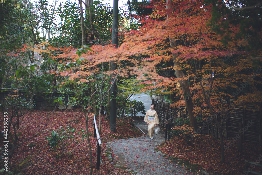 Fototapeta premium Giouji Temple, Arashiyama, Kyoto, Japan