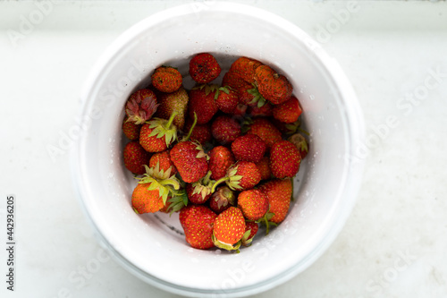 Strawberries in a white bucket. View from above. Fresh strawberry harvest