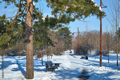 City park covered with snow.