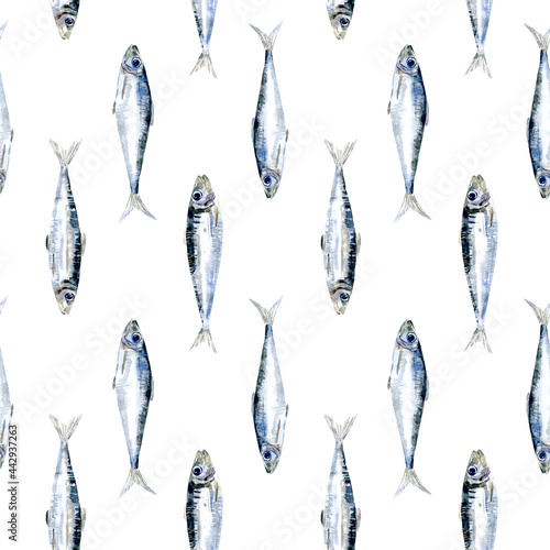 Watercolor sardine pattern photo
