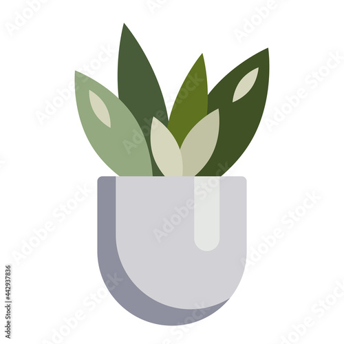 Non-flowering indoor plant in a pot. Herbal home decor element colored drawing. Vector illustration for seasonal design, prints, coloring