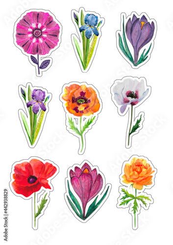 9 different floral watercolor stickers
