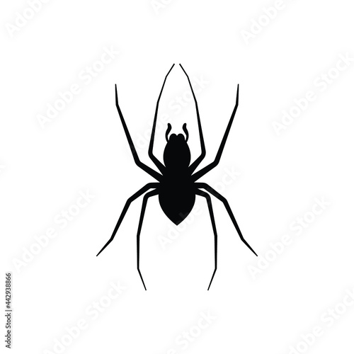 Spider Icon Design Template Vector © sidik